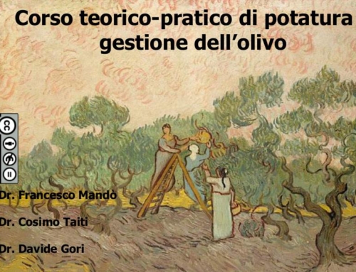 Dispense del corso di potatura dell’olivo